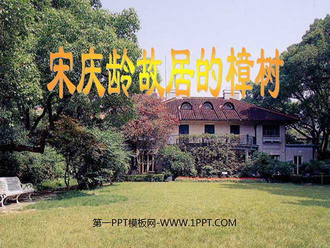 《宋庆龄故居的樟树》PPT课件5