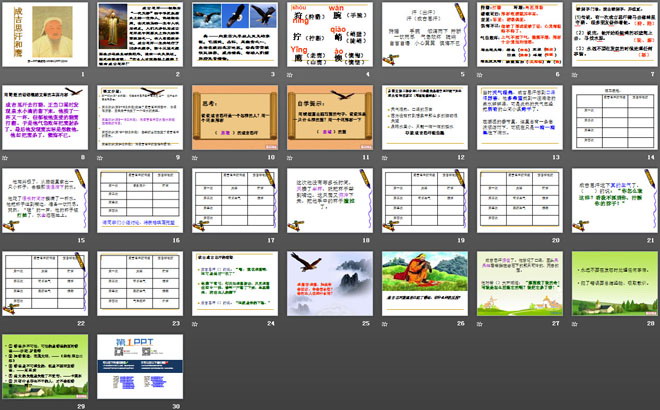 《成吉思汗和鹰》PPT课件4