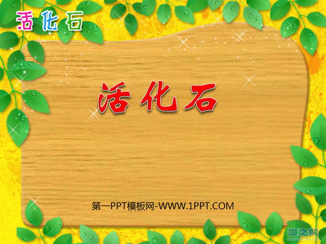 《活化石》PPT课件2