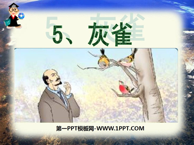 《灰雀》PPT课件4