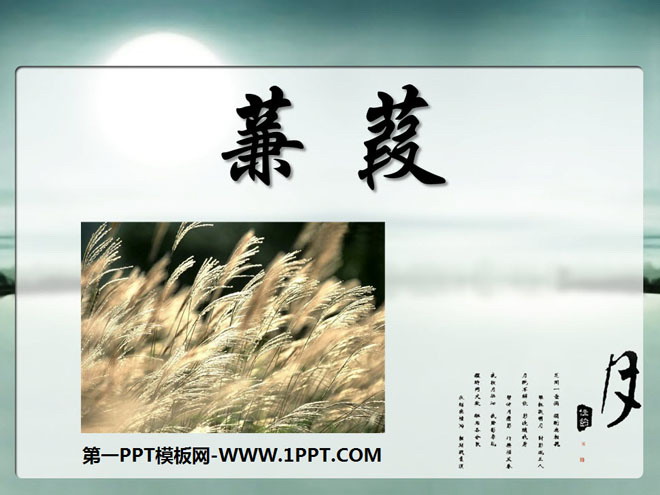 《蒹葭》PPT课件4