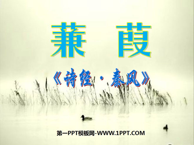 《蒹葭》PPT课件5