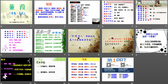 《蒹葭》PPT课件5