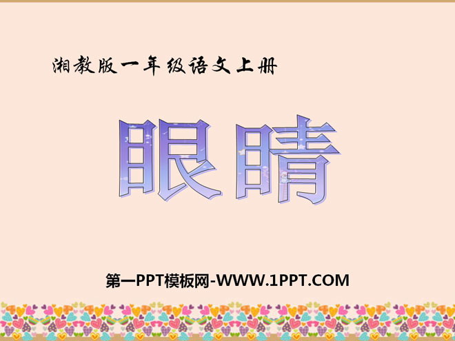 《眼睛》PPT课件2