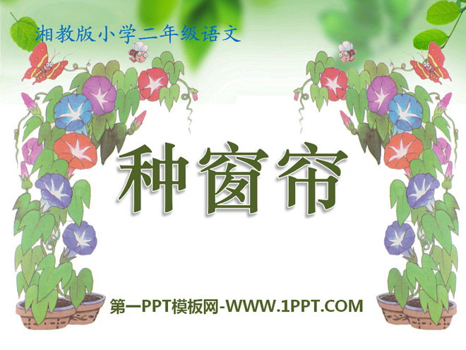 《种窗帘》PPT课件2