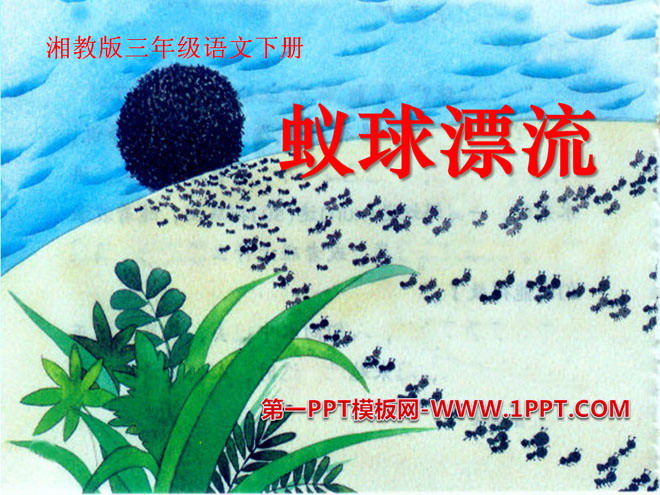 《蚁球漂流》PPT课件