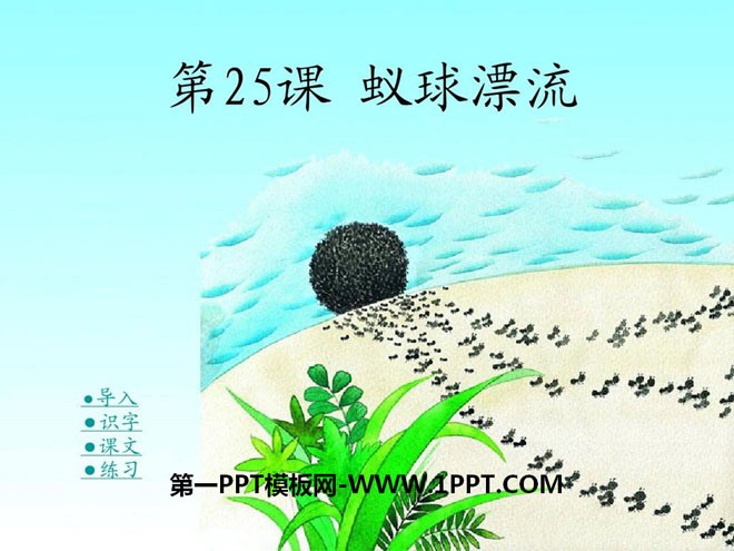 《蚁球漂流》PPT课件2