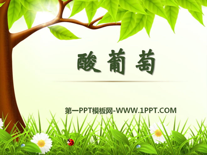 《酸葡萄》PPT课件