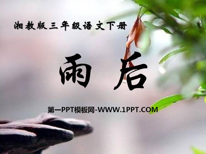 《雨后》PPT课件11