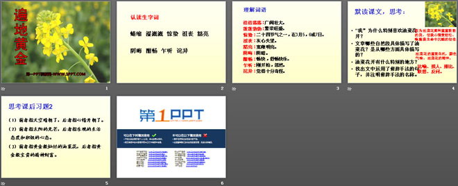 《遍地黄金》PPT课件