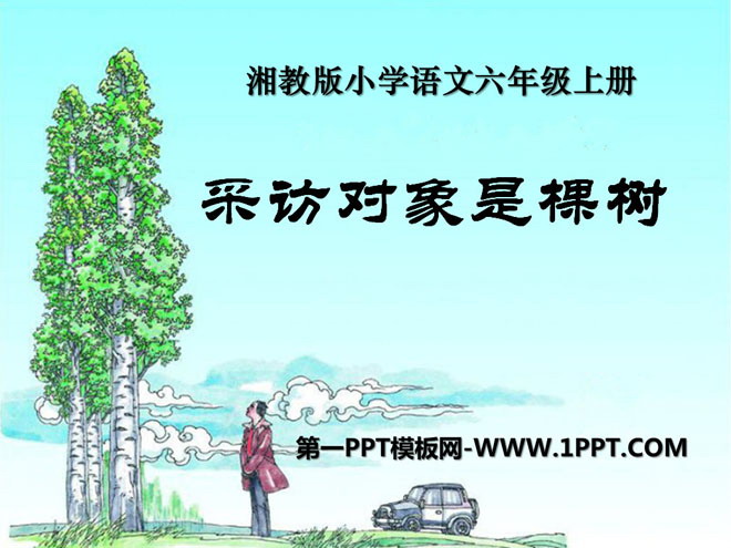 《采访对象是棵树》PPT课件4