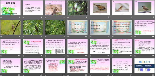 《隔窗看雀》PPT课件