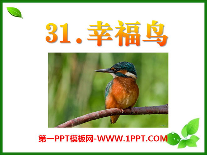 《幸福鸟》PPT课件5