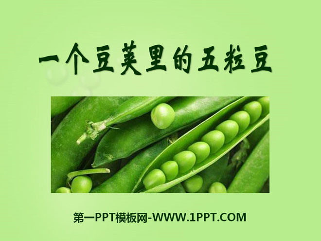 《一个豆荚里的五粒豆》PPT课件4