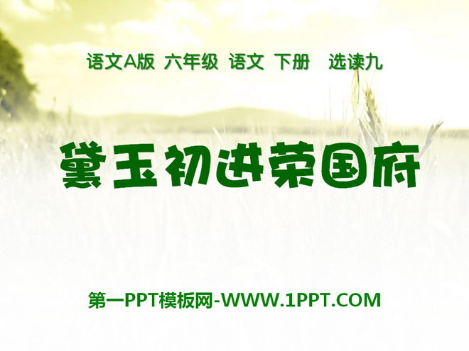 《黛玉初进荣国府》PPT课件3