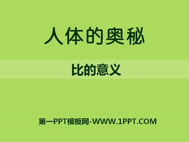 《人体的奥秘》PPT课件4