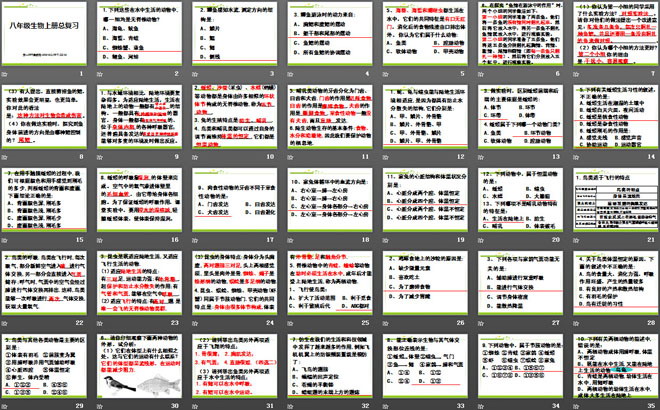 《八年级生物上册总复习》PPT课件3