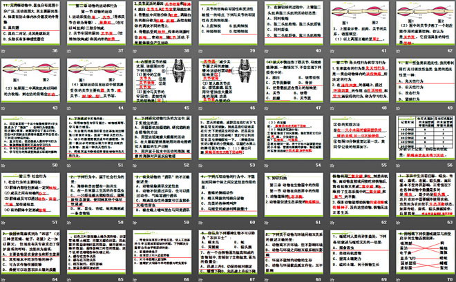 《八年级生物上册总复习》PPT课件3