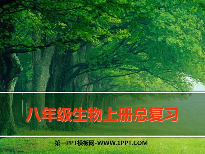 《八年级生物上册总复习》PPT课件4