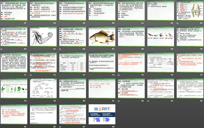 《八年级生物上册总复习》PPT课件4