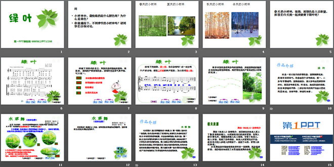 《绿叶》PPT课件