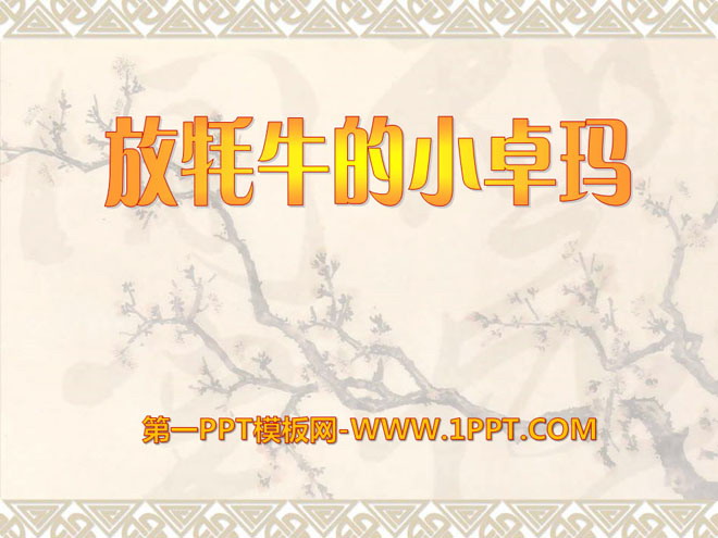 《放牦牛的小卓玛》PPT课件