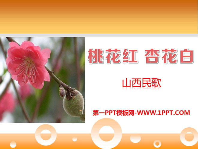 《桃花红杏花白》PPT课件