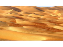金黄色的沙漠幻灯片背景图片