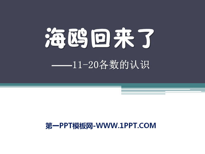 《海鸥回来了》PPT课件