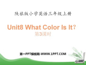 《What Color Is It?》PPT下载