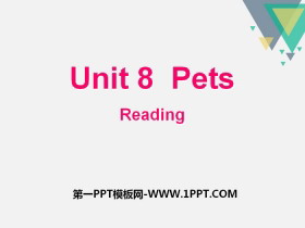 《Pets》ReadingPPT