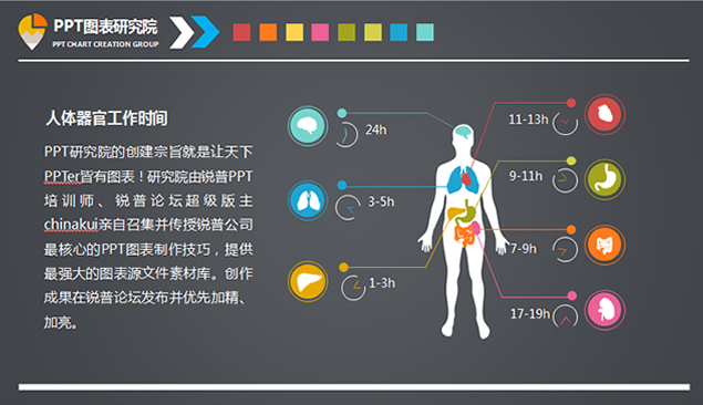 人体器官指示说明PPT图表