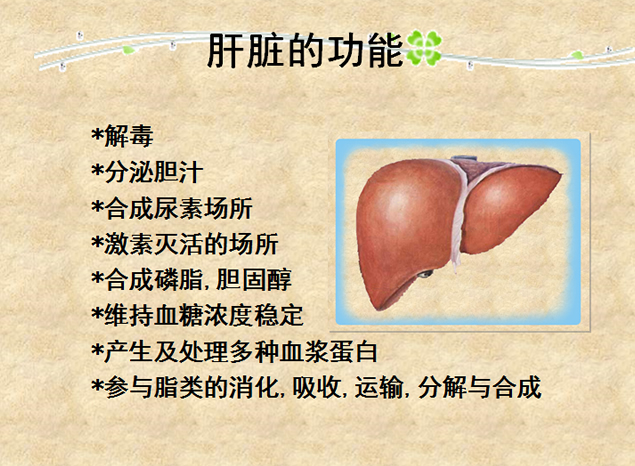 生物医药毕业论文ppt模板2