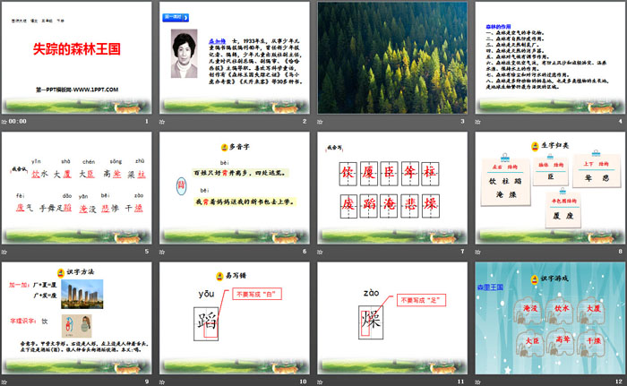 《失踪的森林王国》PPT下载