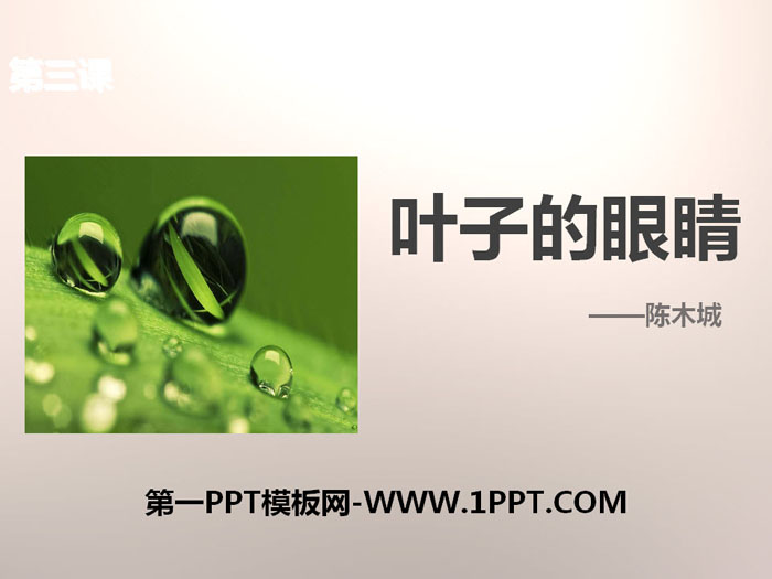 《叶子的眼睛》PPT