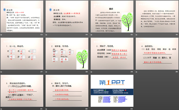 《叶子的眼睛》PPT