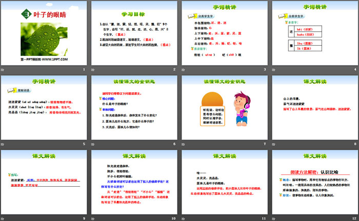 《叶子的眼睛》PPT课件