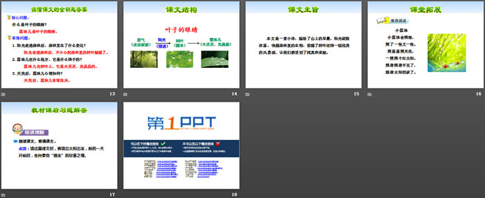 《叶子的眼睛》PPT课件