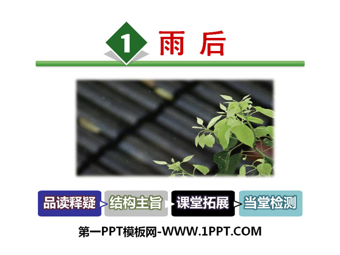 《雨后》PPT教学课件