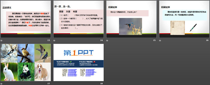 《翠鸟》PPT