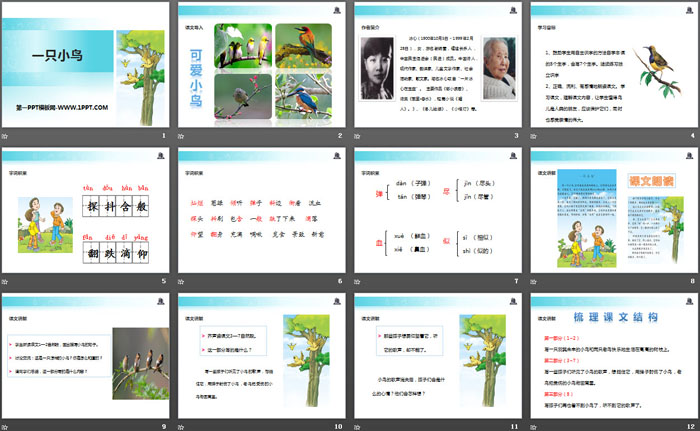 《一只小鸟》PPT教学课件