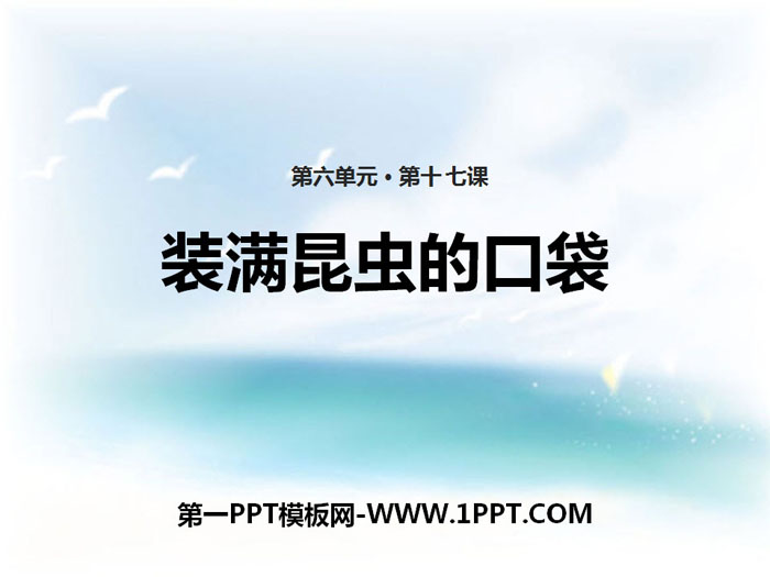 《装满昆虫的口袋》PPT下载