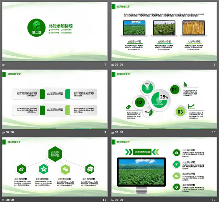 绿色烟草局工作总结计划PPT模板