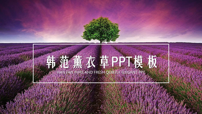 紫色薰衣草背景PPT模板免费下载