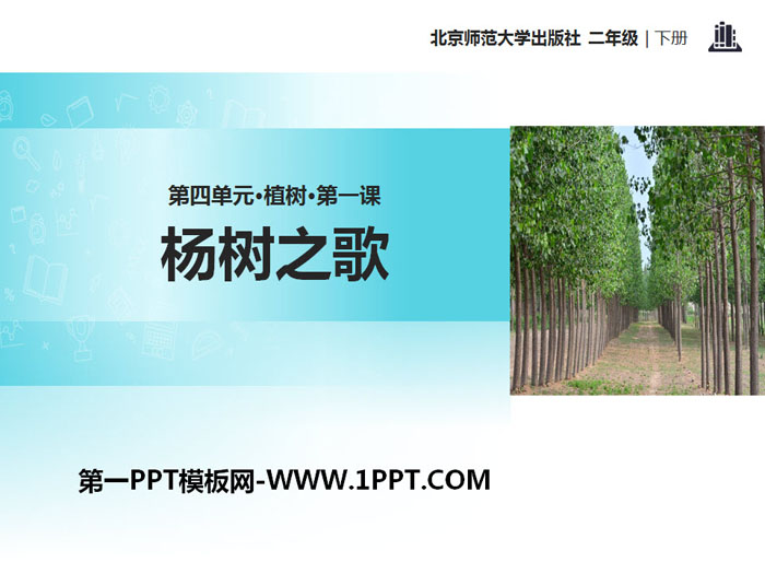 《杨树之歌》PPT