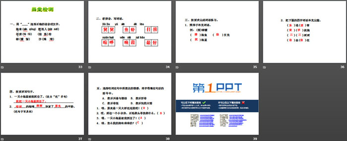 《赶海》PPT下载