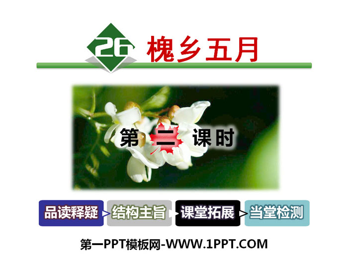 《槐乡五月》PPT下载