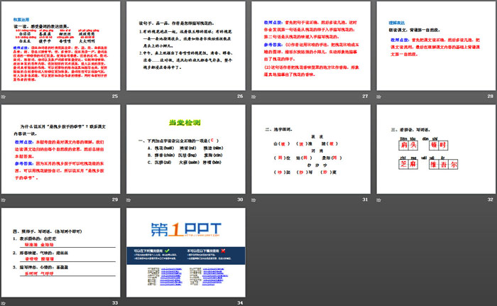 《槐乡五月》PPT下载