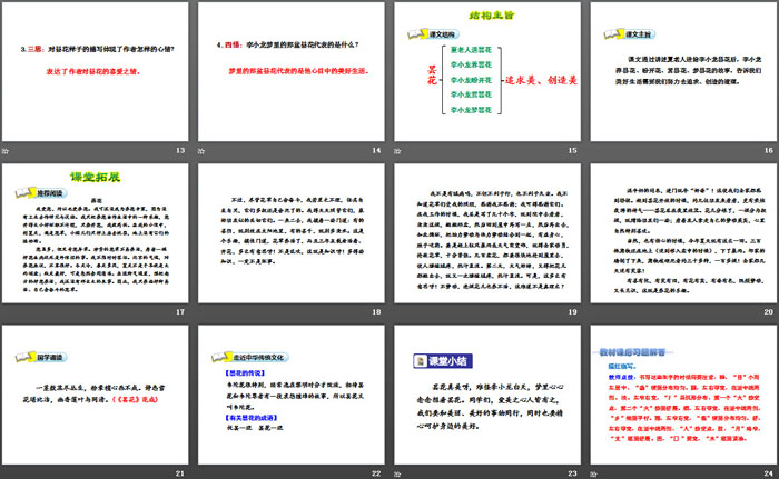 《昙花》PPT课件
