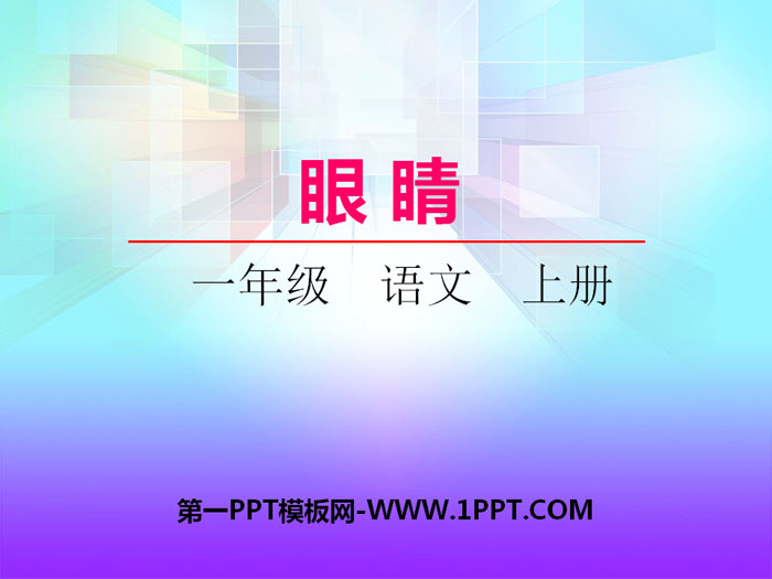 《眼睛》PPT